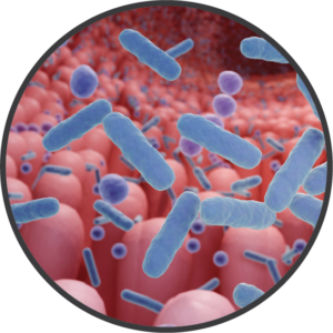 microbiome research